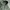 Reebok Vintage Streetwear Hoody Pria green photo 3