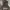 Made in USA Streetwear Hoody Pria brown black photo 3