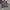 Nike Streetwear Sweatshirt Pria multicolor photo 5