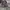 Nike Streetwear Sweatshirt Pria multicolor photo 4
