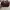 Longchamp Casual Crossbody Bag Wanita Red