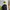 The North Face Sportswear Minimalist Windbreaker Pria black photo 1