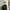 The North Face Sportswear Minimalist Windbreaker Pria Black