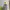 Eddie Bauer Sportswear Minimalist Windbreaker Pria gray photo 1