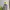 Eddie Bauer Sportswear Minimalist Windbreaker Pria Gray