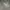 Eddie Bauer Sportswear Minimalist Windbreaker Pria gray photo 7