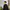 K2 Sportswear Windbreaker Pria black photo 2