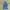 The North Face Sportswear Windbreaker Wanita navy photo 6