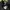 Biker Casual Puffer jacket Pria black photo 7