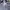 Uniqlo Minimalist Muslim Casual shirt Pria white navy photo 4