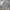 Streetwear Sportswear Casual shirt Pria multicolor photo 1
