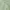 Budweiser Vintage Y2K Casual shirt Pria green photo 4