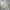 Streetwear Casual Casual shirt Pria multicolor photo 1