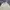 Gianni Valentino Casual Polo shirt Pria white photo 2