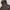 The North Face Streetwear Gorpcore Windbreaker Pria brown photo 8