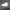 Converse Casual Sneakers Pria white photo 2