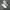 Nike Casual Sneakers Pria white photo 5