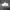 Nike Casual Sneakers Pria white photo 1