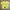 Casual T-shirt Wanita yellow photo 1