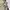 Kansai Yamamoto Casual Casual shirt Pria cream photo 6