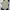 Kansai Yamamoto Casual Casual shirt Pria cream photo 2