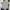 Kansai Yamamoto Casual Casual Shirt Pria Cream