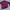 Uniqlo Indie Casual Sweatshirt Pria burgundy red photo 1