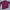 Uniqlo Indie Casual Sweatshirt Pria Burgundy Red