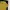 Global Work Casual Casual shirt Pria yellow photo 4
