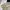 Japanese brand Casual Casual shirt Pria multicolor photo 5