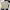 Japanese brand Casual Casual shirt Pria multicolor photo 2