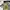 Japanese brand Casual Casual shirt Pria multicolor photo 4