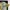 Japanese brand Casual Casual shirt Pria multicolor photo 3