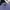 Ben Sherman Vintage Casual Casual shirt Pria navy photo 4