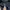 Polo Ralph Lauren Casual Harrington jacket Pria navy photo 4
