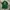 Polo Ralph Lauren Minimalist Polo shirt Pria green photo 4