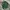 Polo Ralph Lauren Minimalist Polo shirt Pria green photo 2