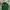Polo Ralph Lauren Minimalist Polo shirt Pria green photo 3