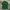 Polo Ralph Lauren Minimalist Polo shirt Pria green photo 1