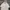 Polo Ralph Lauren Casual Polo shirt Pria white photo 2