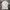 Polo Ralph Lauren Casual Polo Shirt Pria White