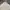 Hush Puppies Casual Polo shirt Pria white photo 3