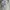 Hugo Boss Casual Formal shirt Pria green photo 6