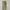 Uniqlo Skater Casual Formal pants Pria cream photo 1