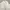 Nike Minimalist Polo shirt Pria white black photo 1