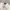 Burberry Minimalist Polo Shirt Pria White