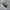Nike Casual Casual shoe Pria white black photo 6