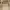 Kate Spade Luxury Casual Shoulder bag Wanita cream photo 5