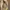 Kate Spade Luxury Casual Shoulder bag Wanita cream photo 6
