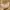 Kate Spade Luxury Casual Shoulder bag Wanita cream photo 4